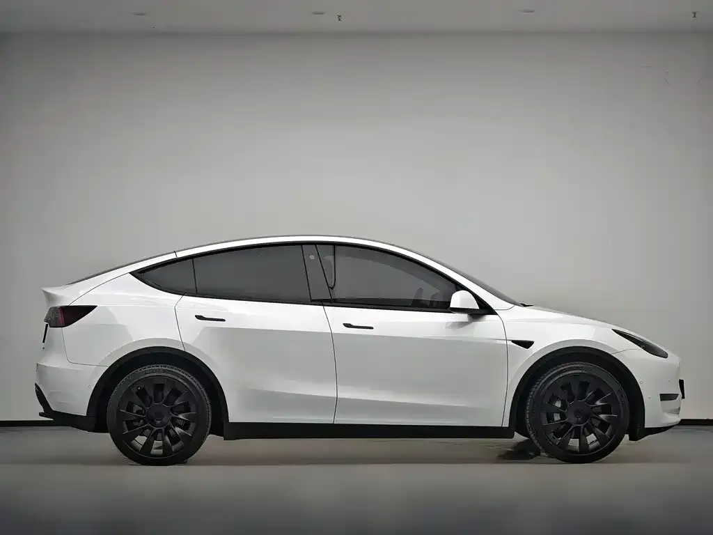Tesla Model Y 2021 из CN, фото 4