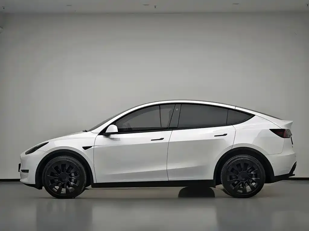 Tesla Model Y 2021 из CN, фото 2