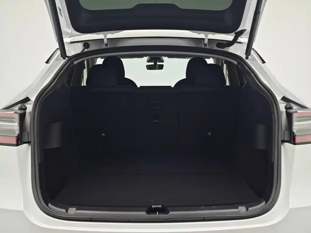 Tesla Model Y 2021 из CN, фото 8