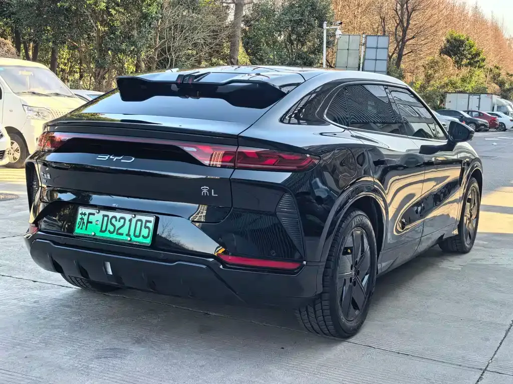 BYD L EV 2024 из CN, фото 5