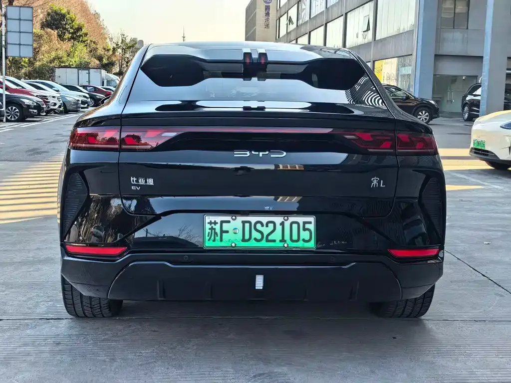 BYD L EV 2024 из CN, фото 4