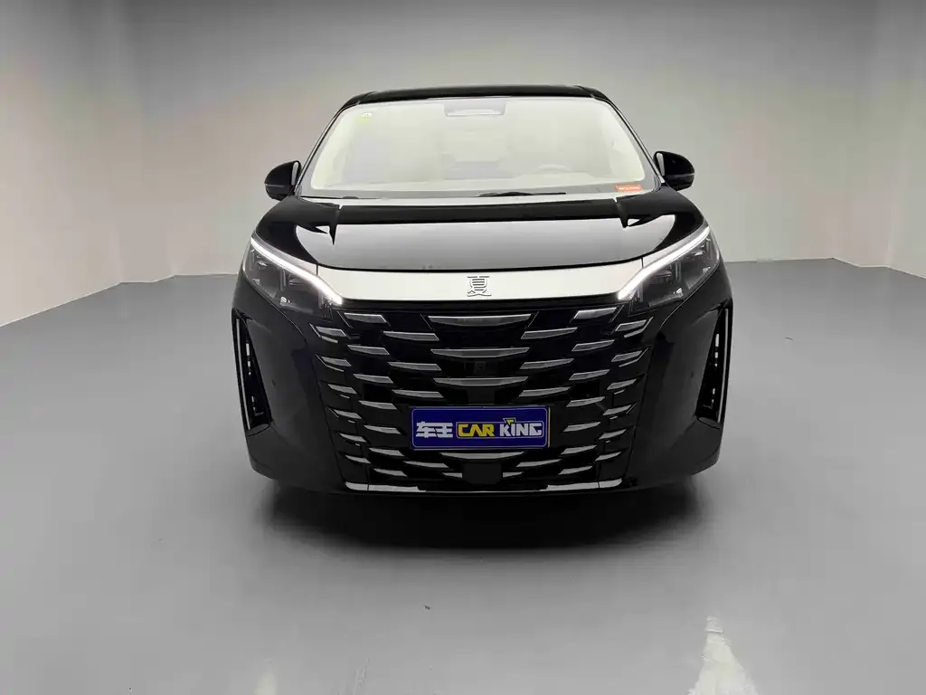 BYD Xia 2025 из CN, фото 5