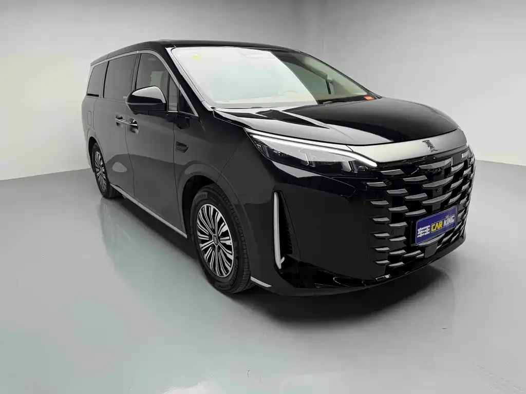 BYD Xia 2025 из CN, фото 3