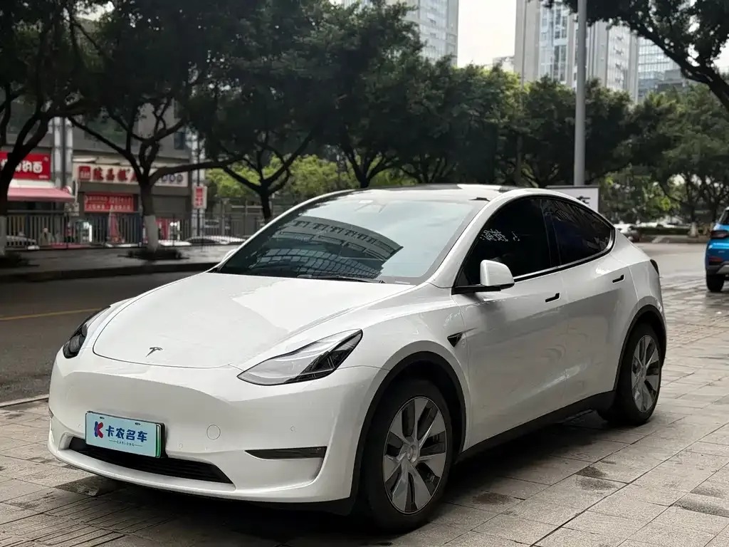 Tesla Model Y — фото 1