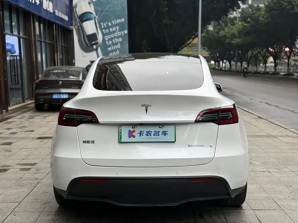 Tesla Model Y — фото 2