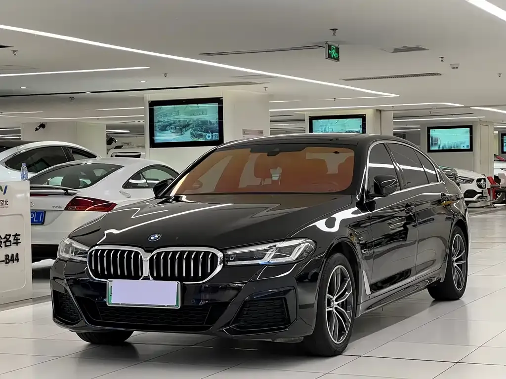 BMW 5 Series New Energy — фото 1
