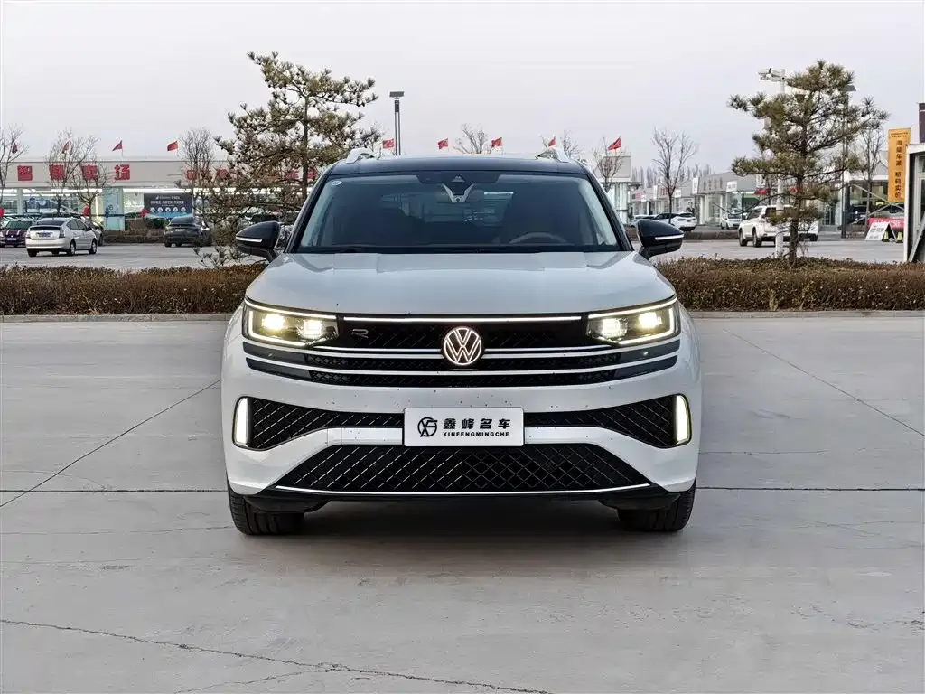 Volkswagen Tavendor 2024 из CN, фото 9