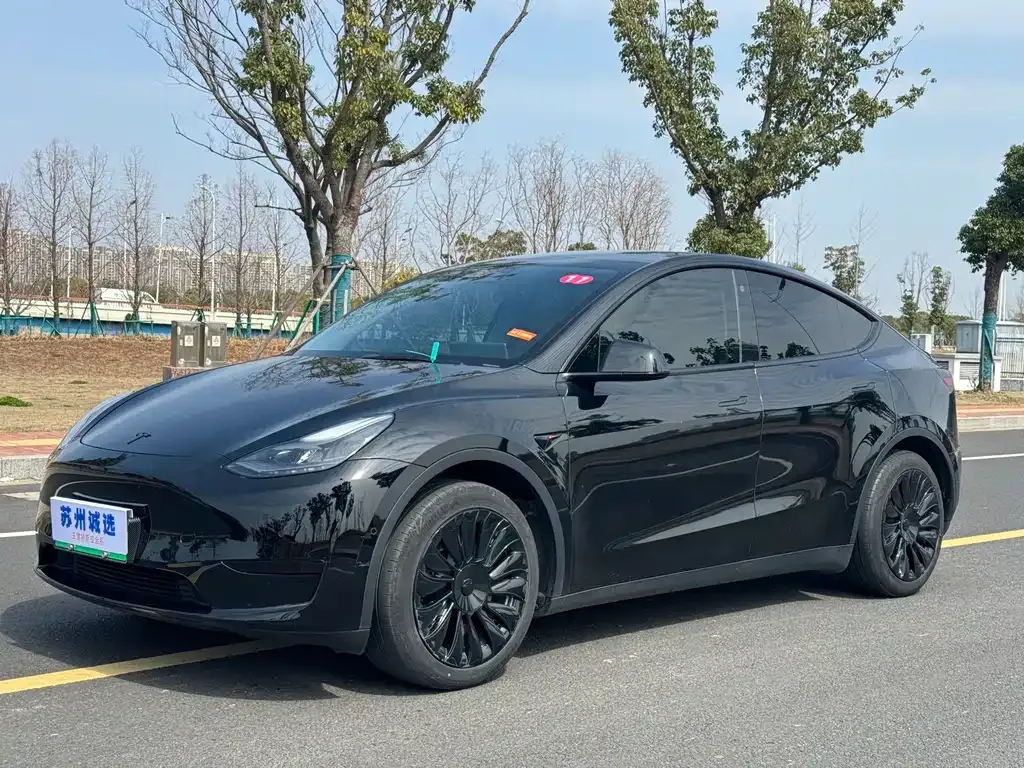 Tesla Model Y 2023 из CN, фото 1