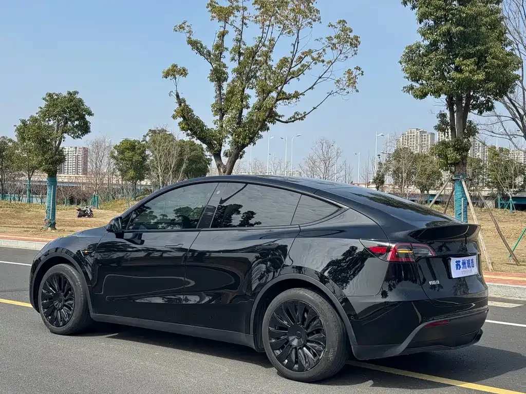 Tesla Model Y 2023 из CN, фото 10