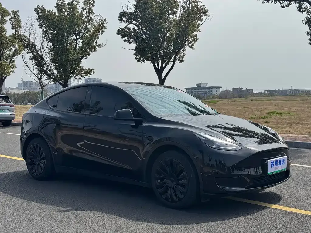 Tesla Model Y 2023 из CN, фото 9
