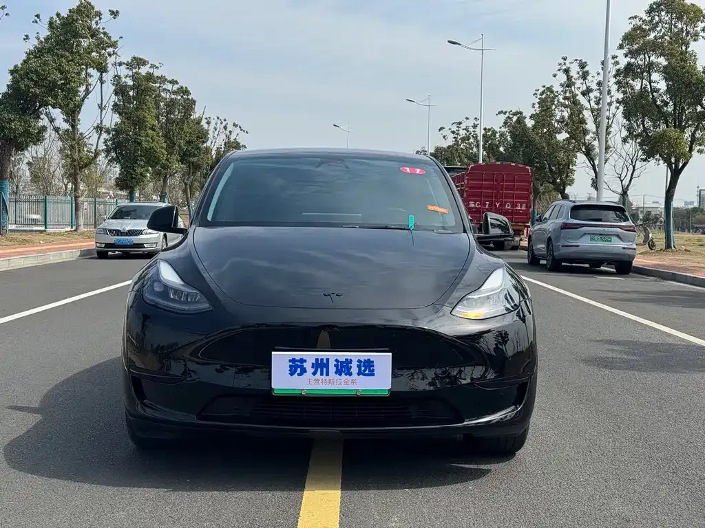 Tesla Model Y 2023 из CN, фото 5