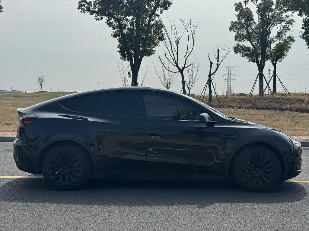 Tesla Model Y 2023 из CN, фото 8