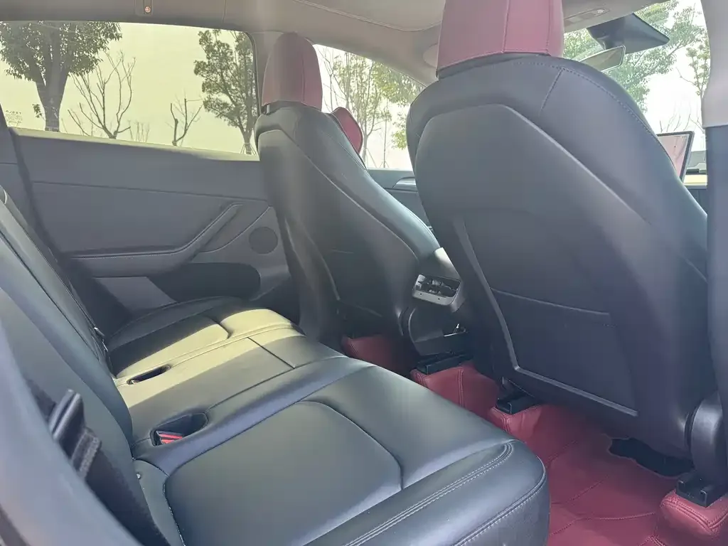Tesla Model Y 2023 из CN, фото 4