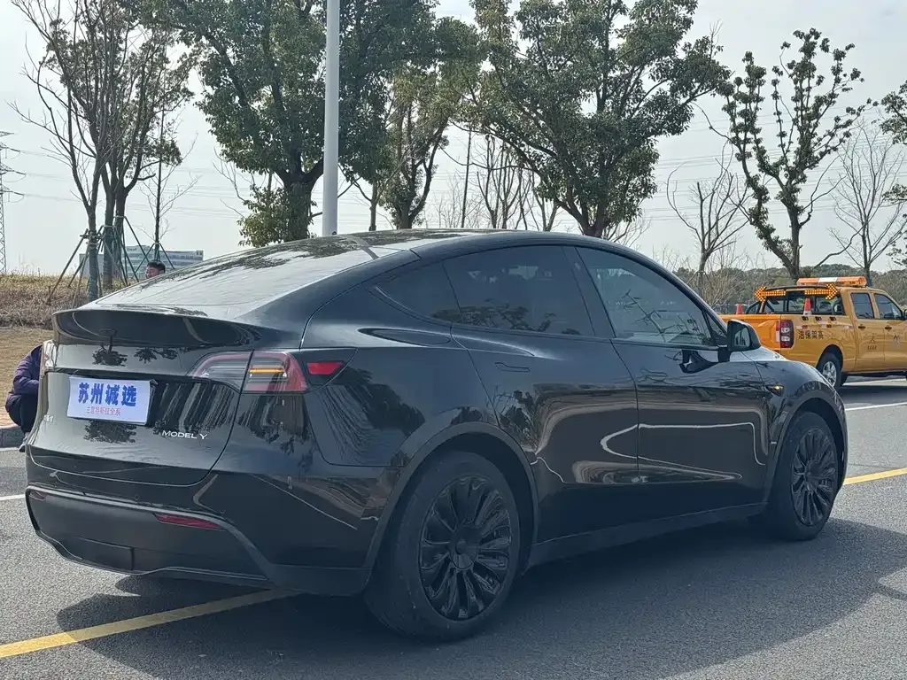 Tesla Model Y 2023 из CN, фото 7