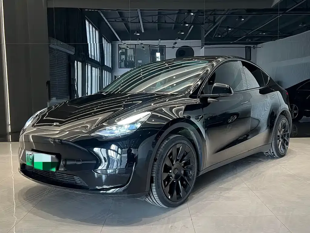 Tesla Model Y — фото 1
