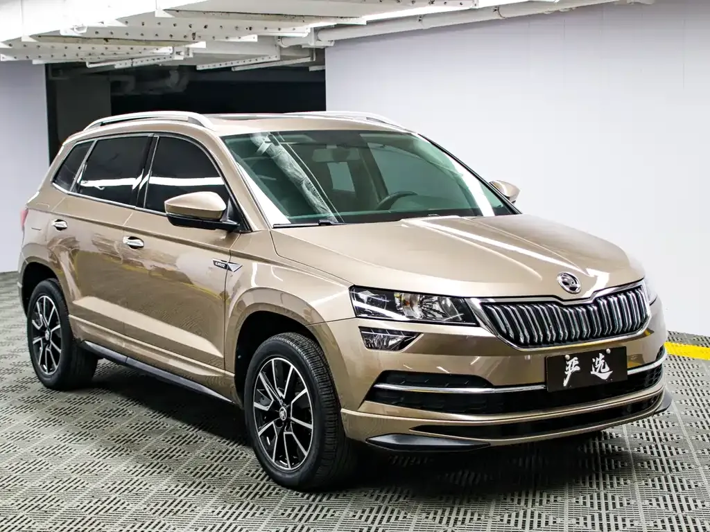 Skoda Karoq — фото 8