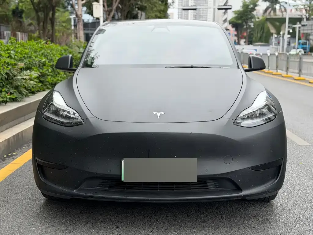 Tesla Model Y — фото 6