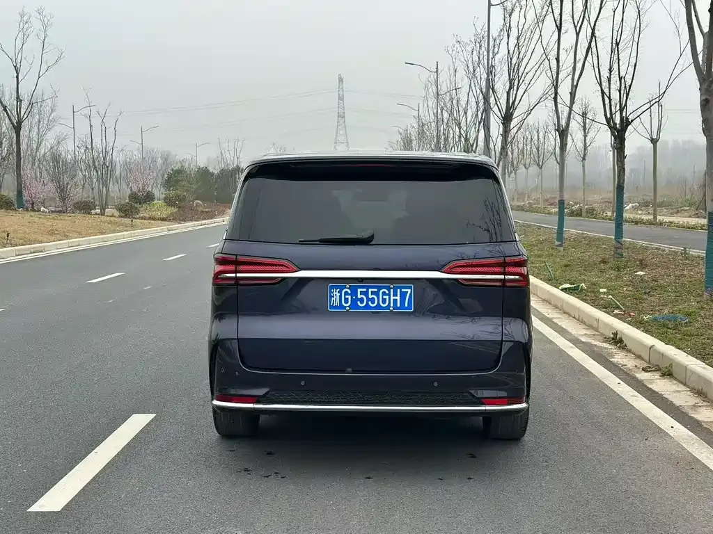 Roewe iMAX8 2021 из CN, фото 5
