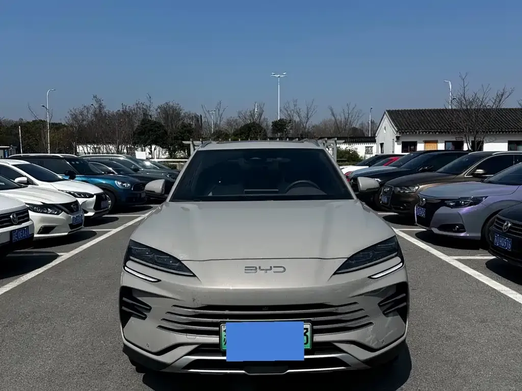 BYD PLUS New Energy — фото 1