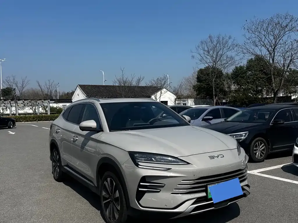 BYD PLUS New Energy — фото 8