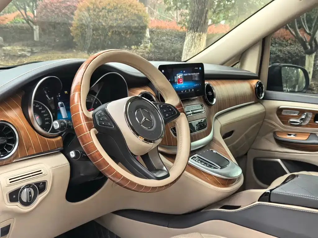 Mercedes-Benz V-Class 2021 из CN, фото 7