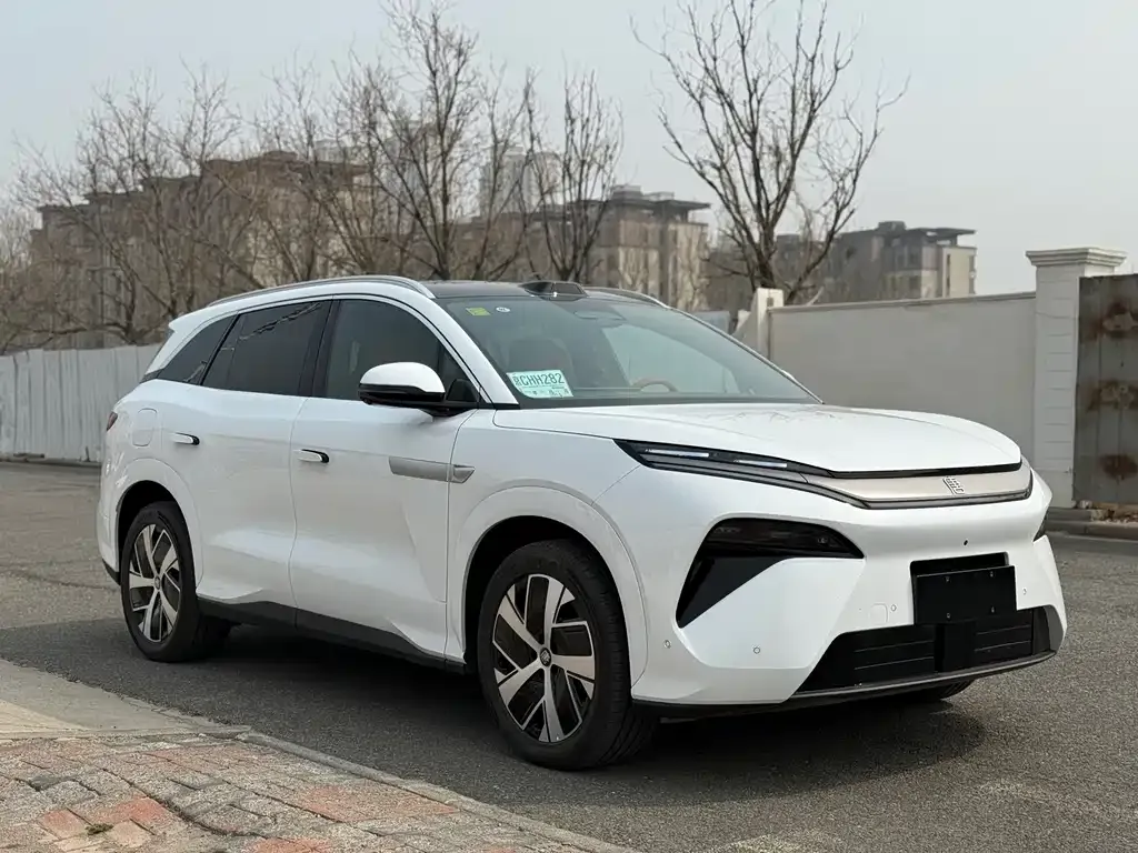 BYD Tang L — фото 3