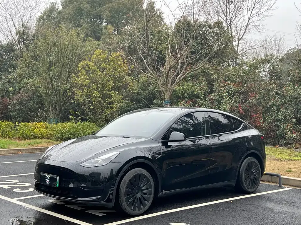 Tesla Model Y — фото 1