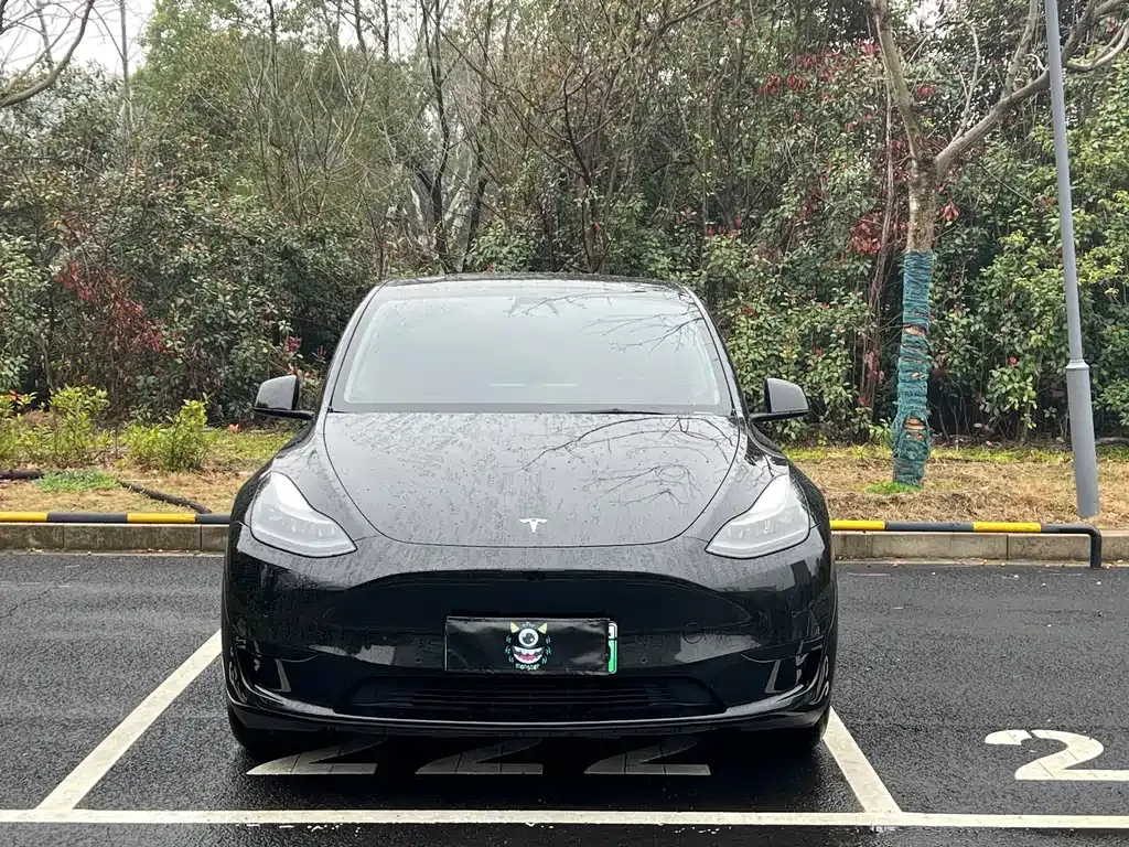 Tesla Model Y — фото 7