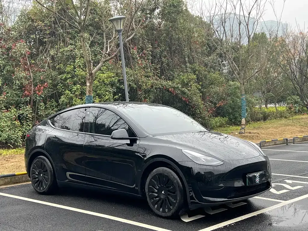Tesla Model Y — фото 9