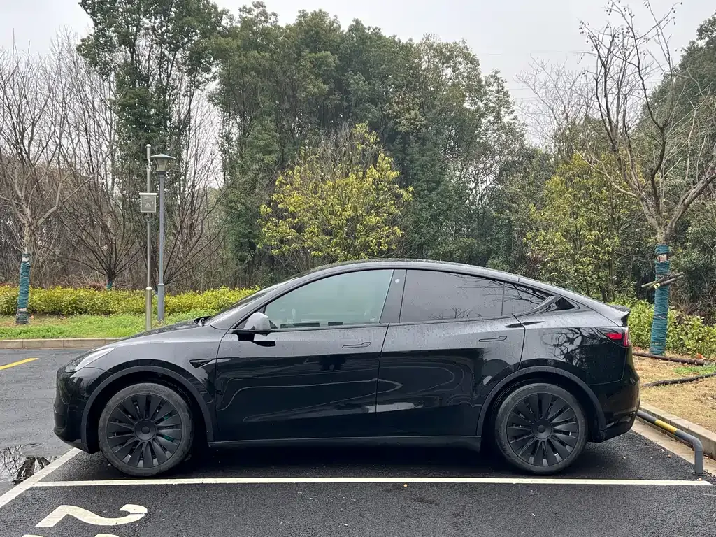 Tesla Model Y — фото 10