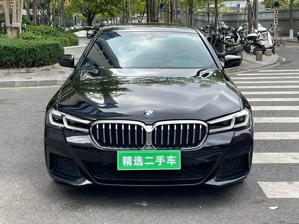 BMW 5 Series 2021 из CN, фото 10