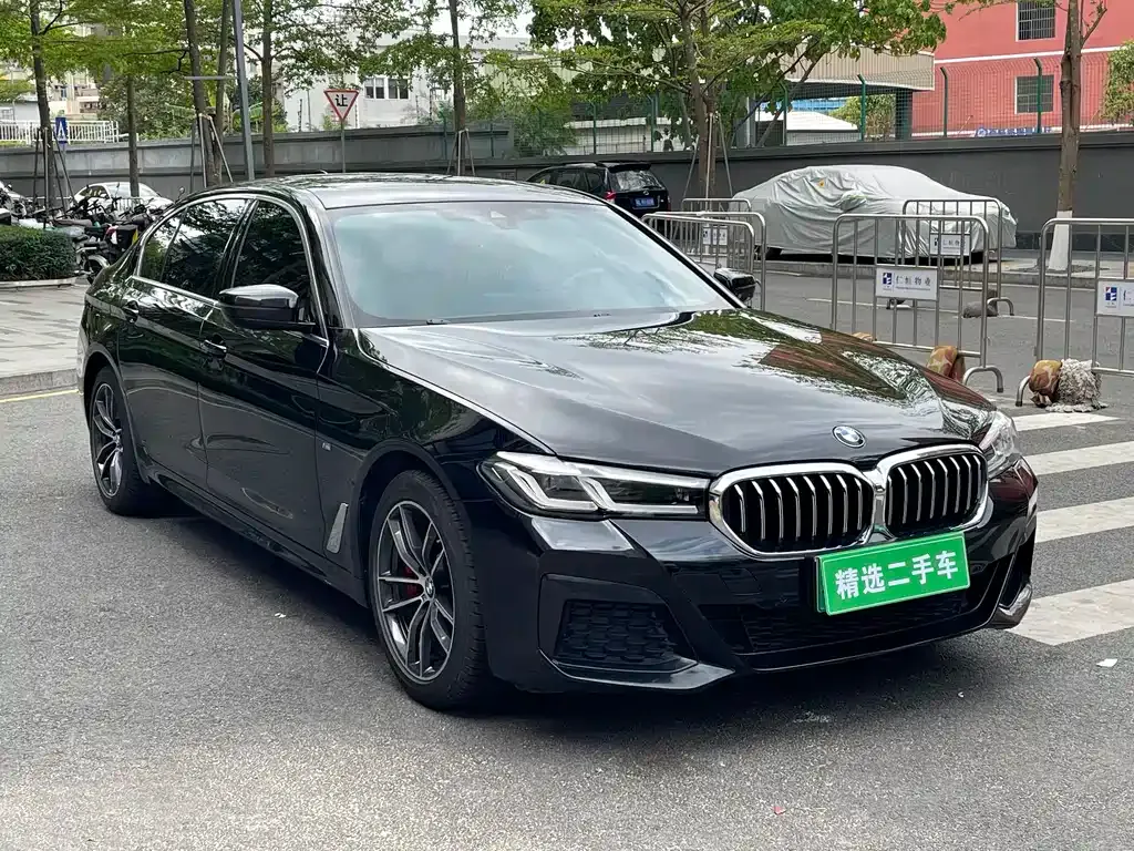 BMW 5 Series 2021 из CN, фото 3