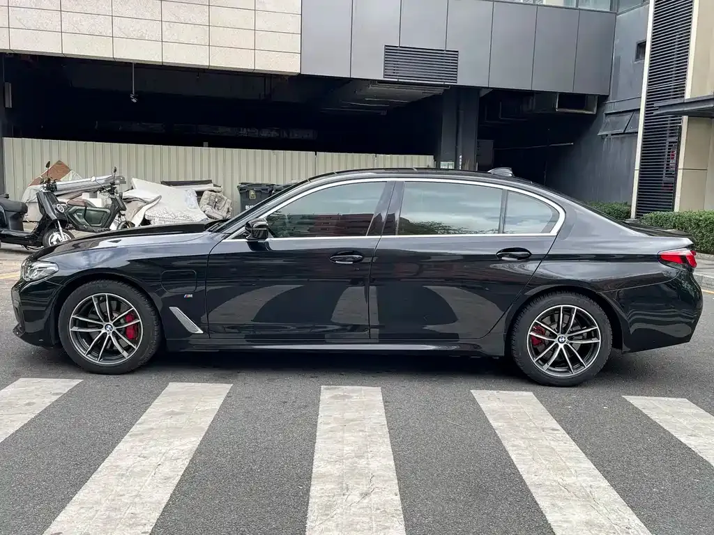 BMW 5 Series 2021 из CN, фото 8