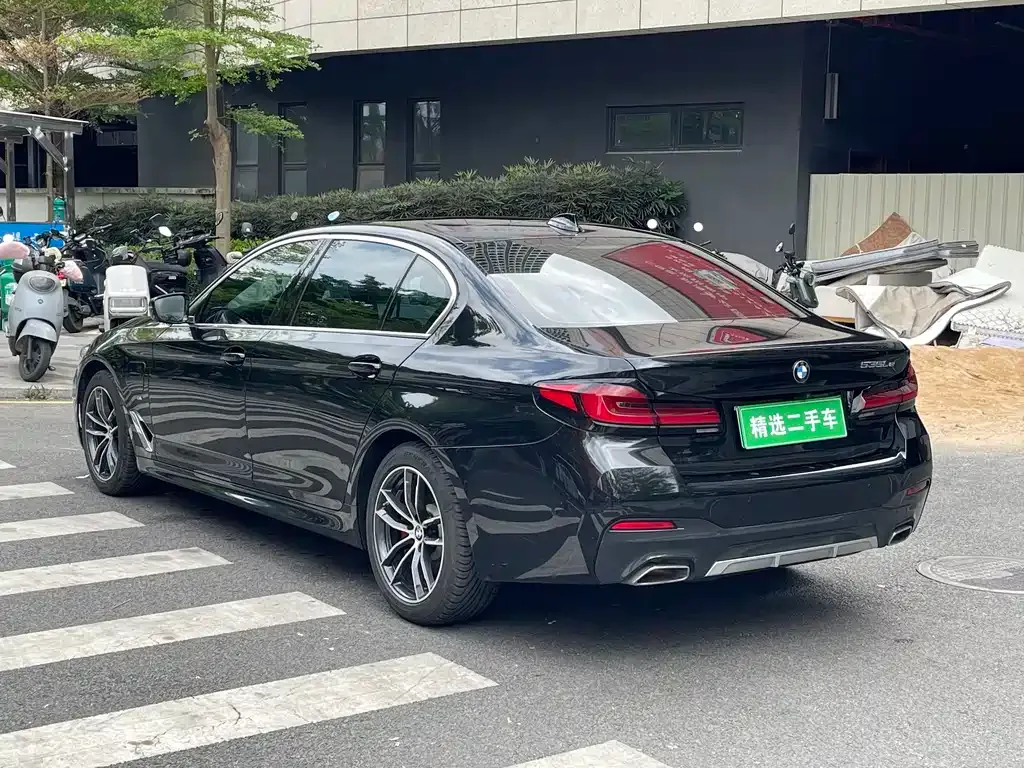 BMW 5 Series 2021 из CN, фото 7