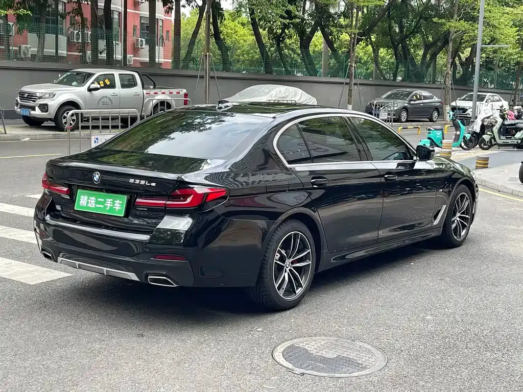 BMW 5 Series 2021 из CN, фото 4