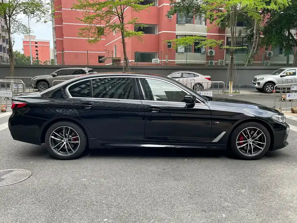 BMW 5 Series 2021 из CN, фото 6