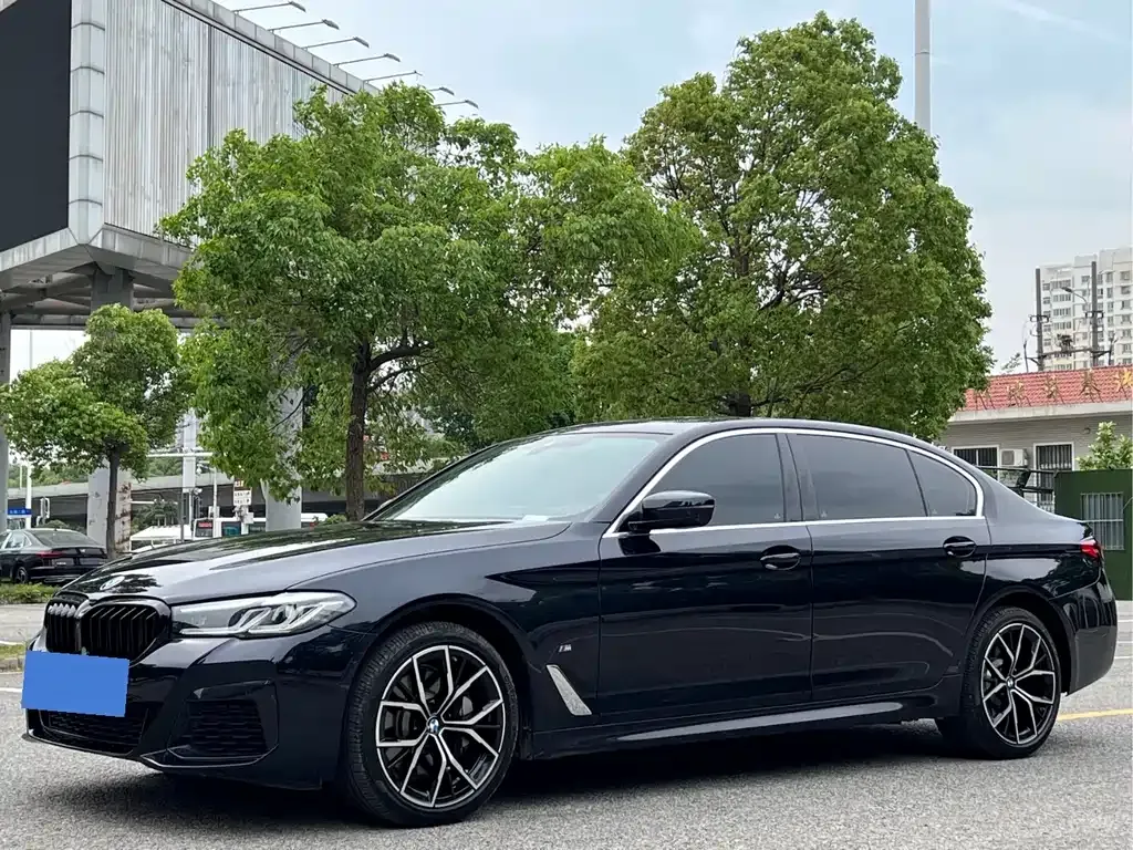 BMW 5 Series 2024 из CN, фото 1