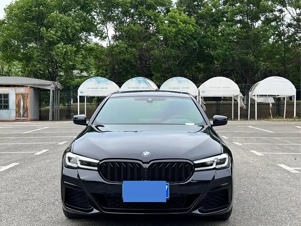 BMW 5 Series 2024 из CN, фото 8
