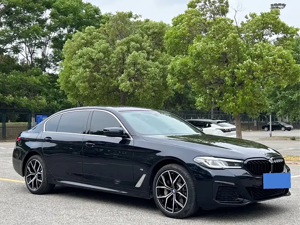 BMW 5 Series 2024 из CN, фото 10