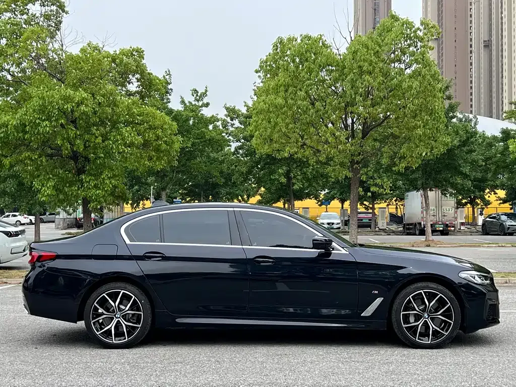BMW 5 Series 2024 из CN, фото 9