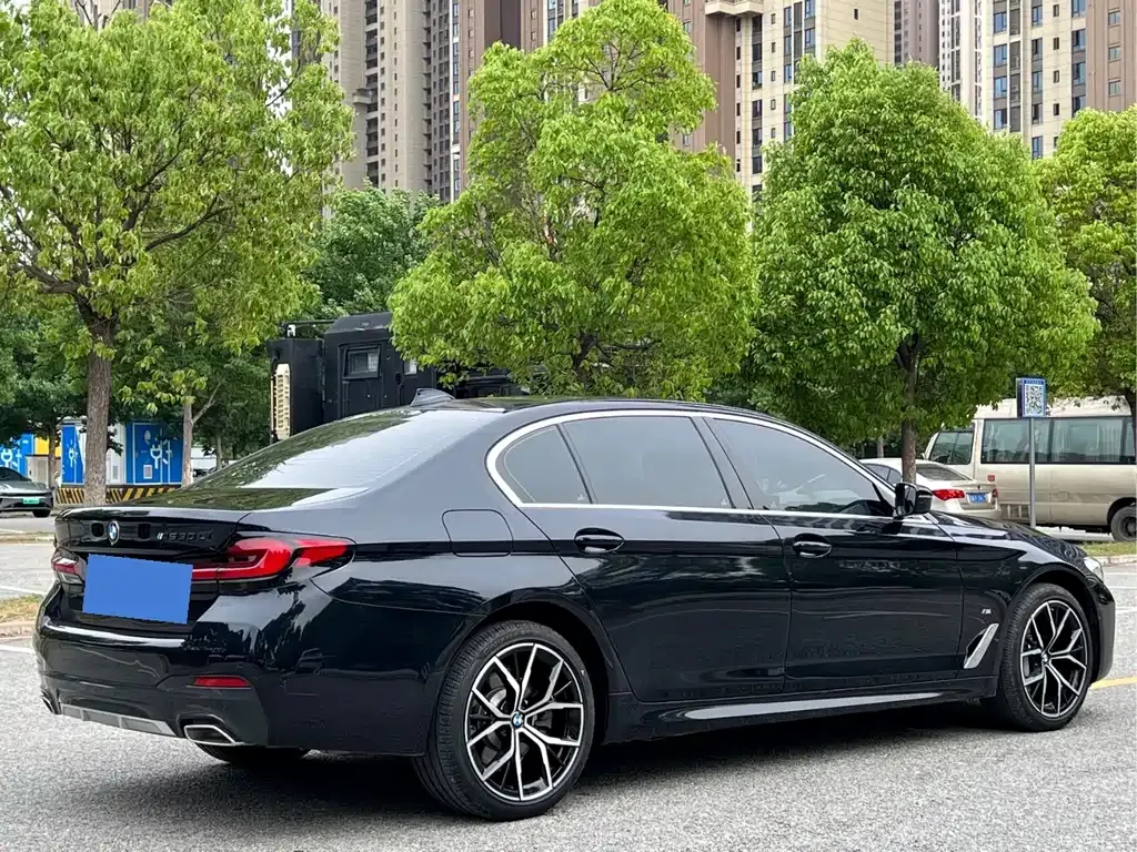 BMW 5 Series 2024 из CN, фото 3