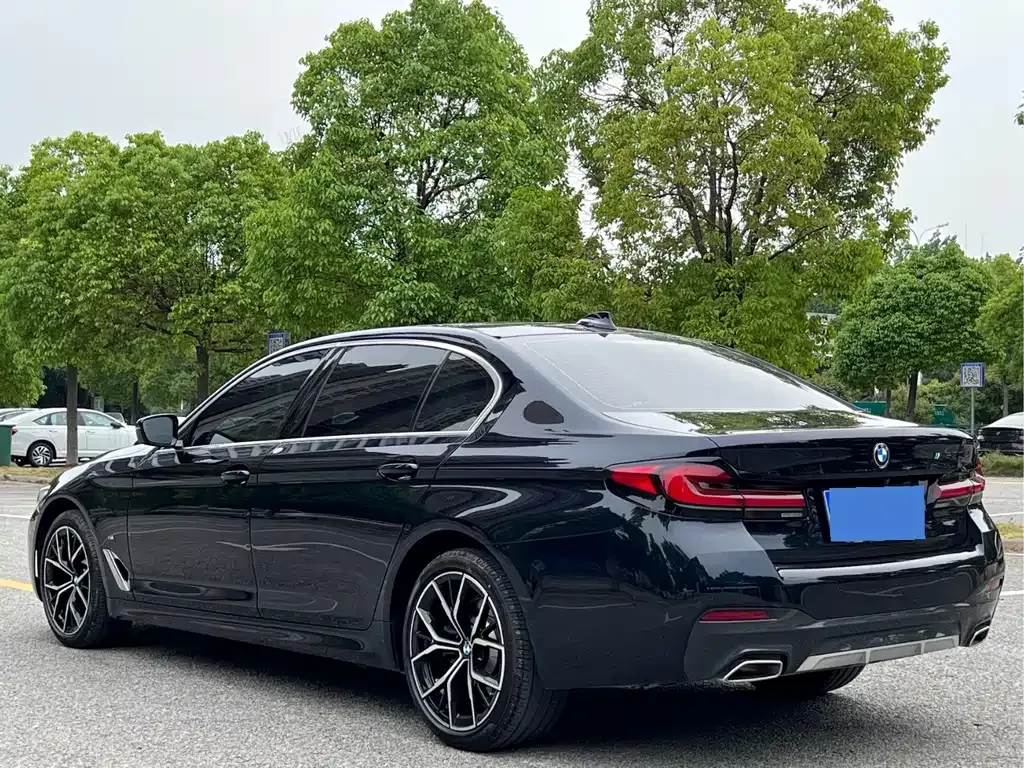 BMW 5 Series 2024 из CN, фото 4