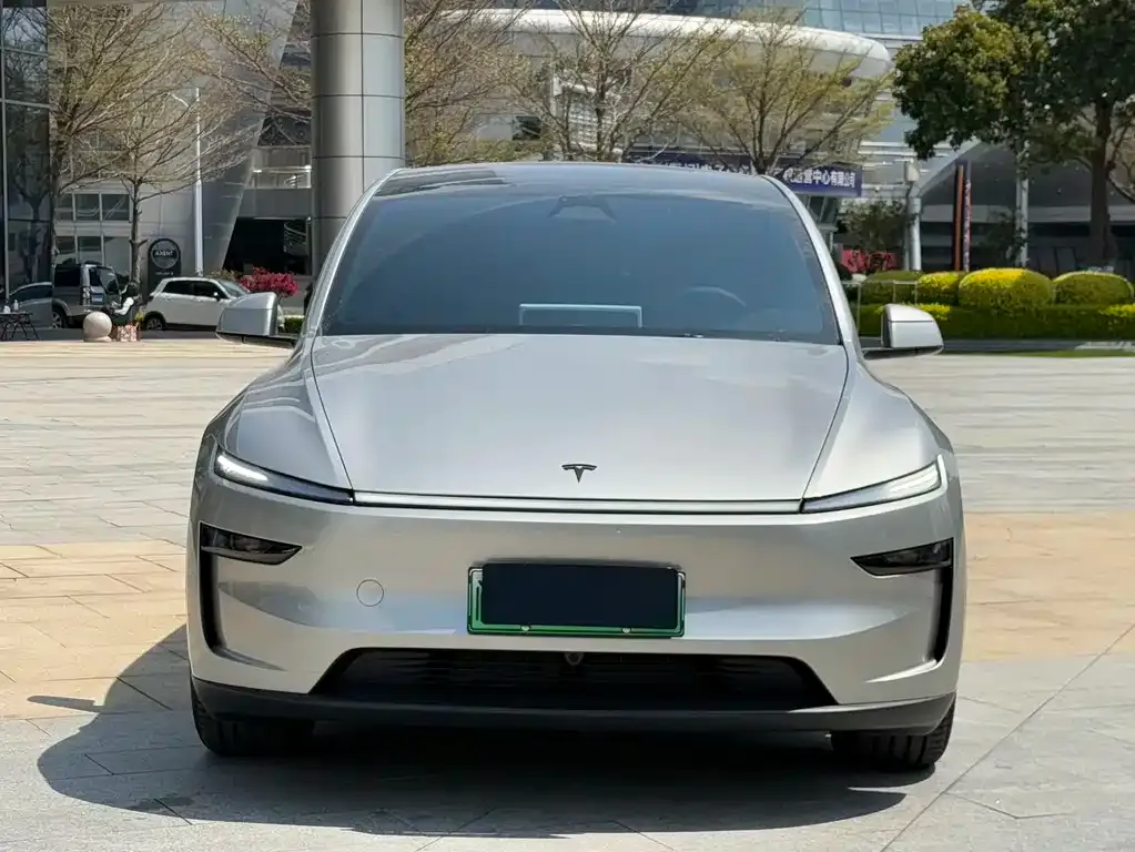 Tesla Model Y L 2025 из CN, фото 3