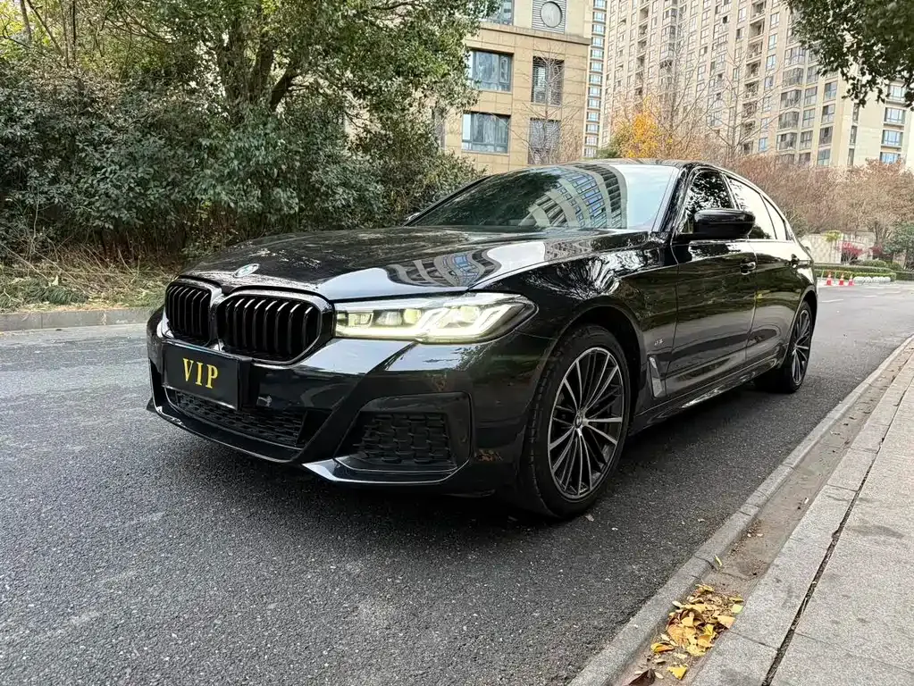 BMW 5 Series 2022 из CN, фото 1