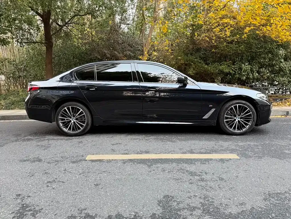 BMW 5 Series 2022 из CN, фото 7