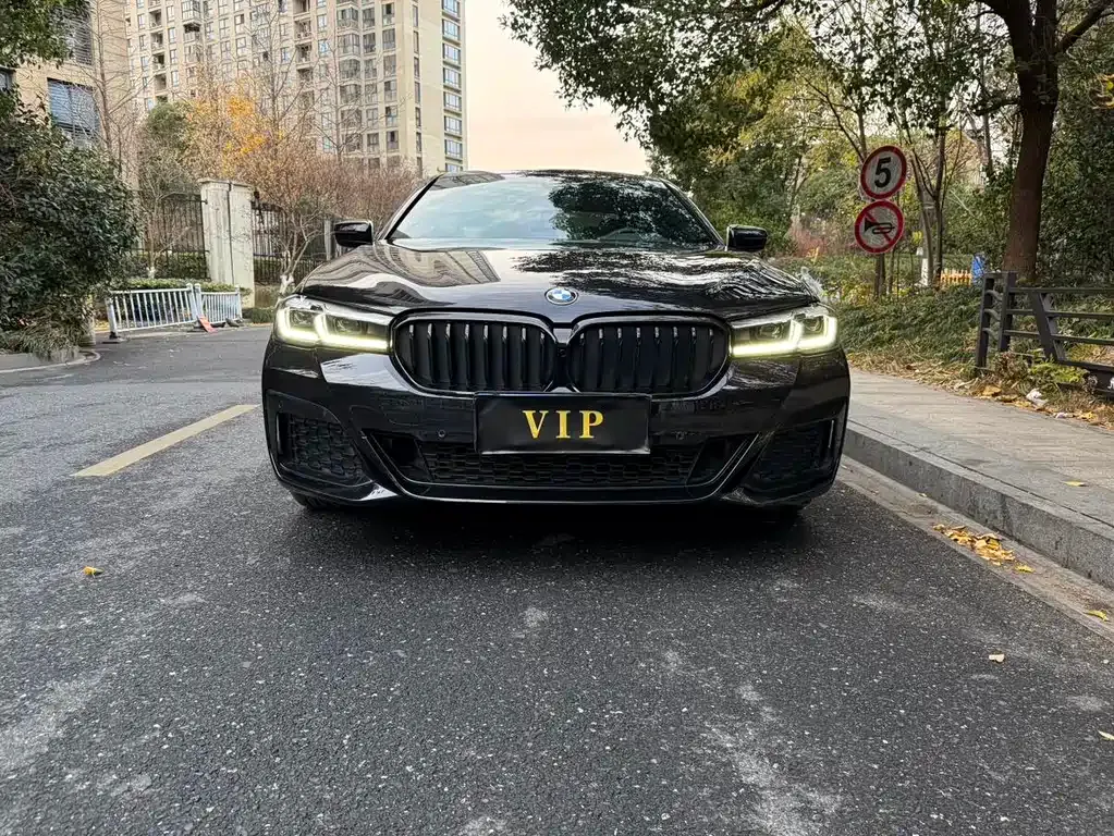 BMW 5 Series 2022 из CN, фото 5