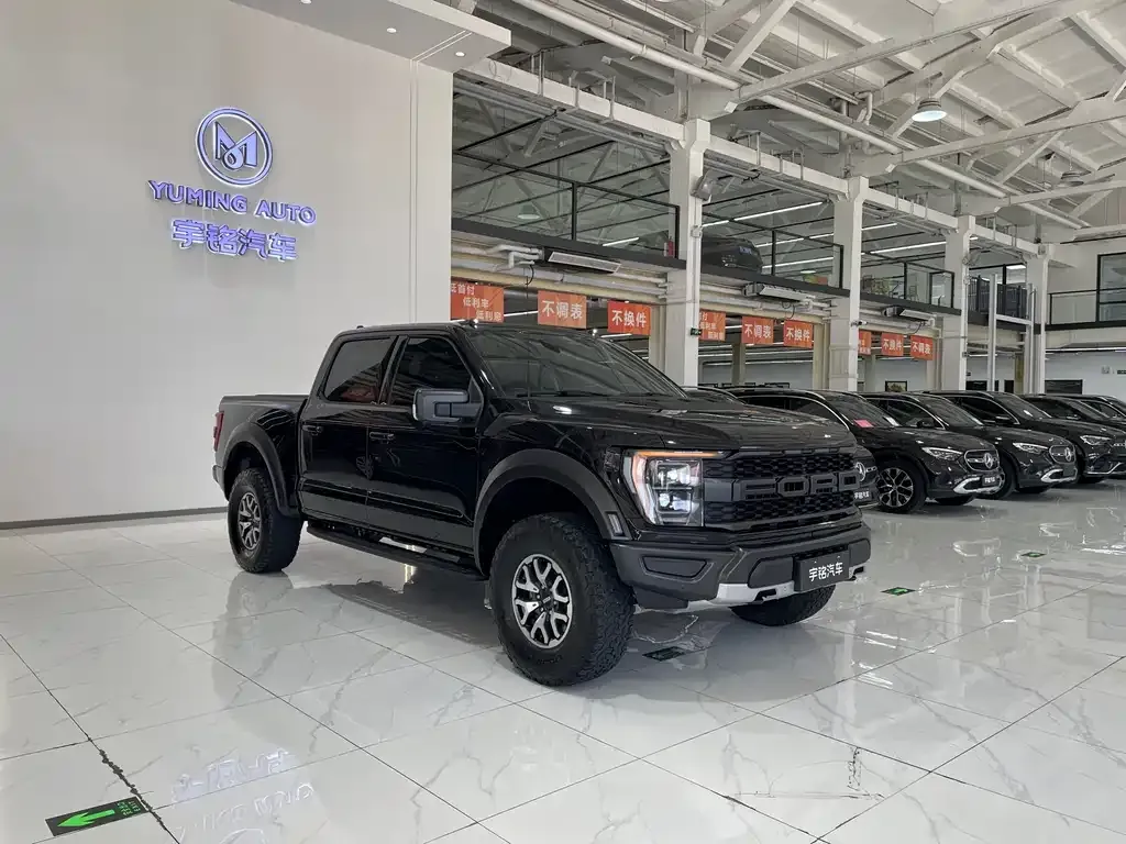 Ford F-150 Raptor — фото 10
