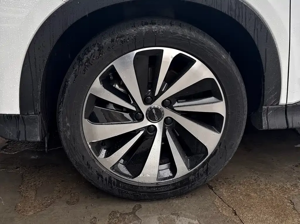 BYD PLUS New Energy — фото 4