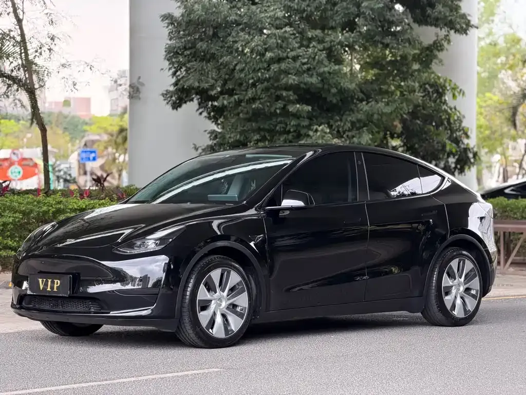Tesla Model Y 2022 из CN, фото 1