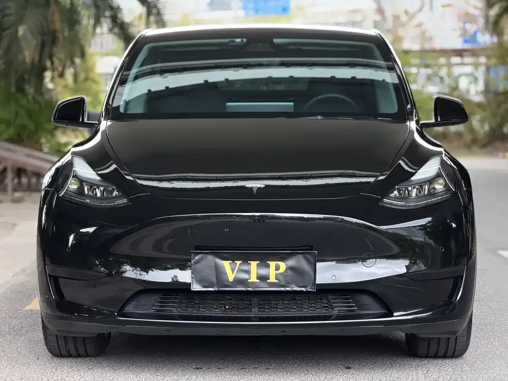 Tesla Model Y 2022 из CN, фото 4